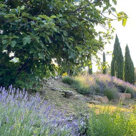 Montanare - Romantic Escape Tuscany * Cortona
