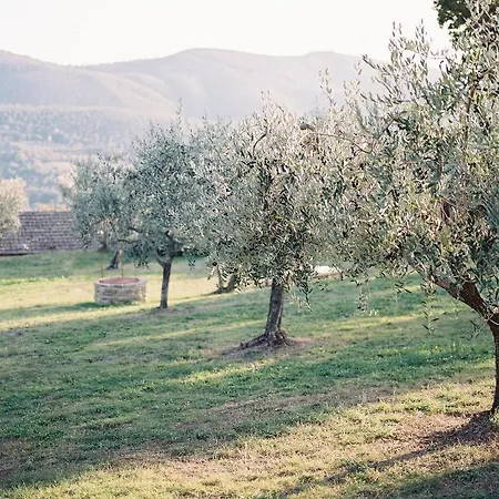 Montanare Cortona