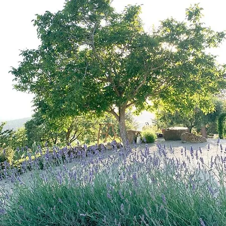 Montanare Kwatera prywatna Cortona