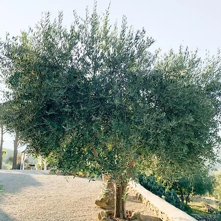 Montanare Kwatera prywatna