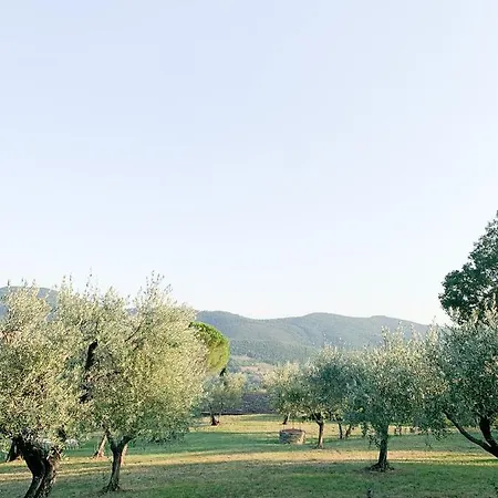 Kwatera prywatna Montanare Cortona