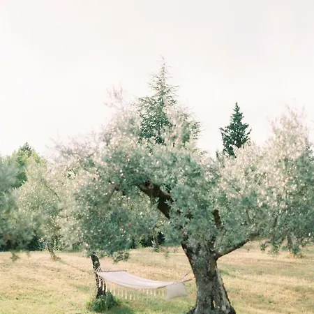 Montanare Kwatera prywatna Cortona